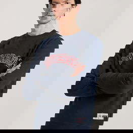 Vyriškas džemperis navy