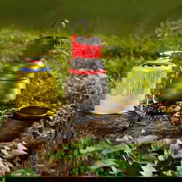 Dujų kasetės įdėklas dujinei viryklei su degikliu - sriegis 7/16 450g