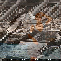 Fortunata 1678 kelnaitės + stringai NEMOKAMAI!