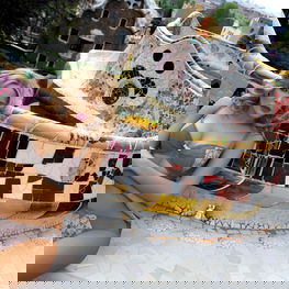 Stringai Gaudi I S-133/1