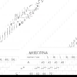 Raudona klostuota suknelė