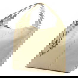 Moteriška odinė rankinė smėlio spalvos Gregorio