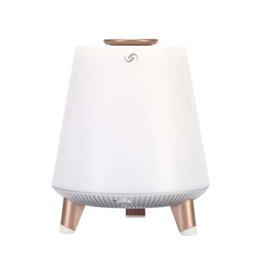 Bluetooth garsiakalbis su LED lempa Blaupunkt BT25LAMP