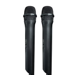 Blaupunkt PB06DB Bluetooth karaokės garsiakalbis