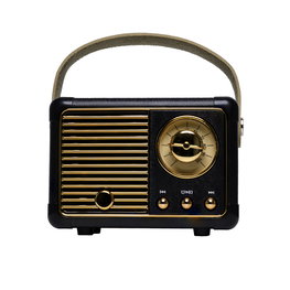Denver BTP-203 juodas Bluetooth garsiakalbis
